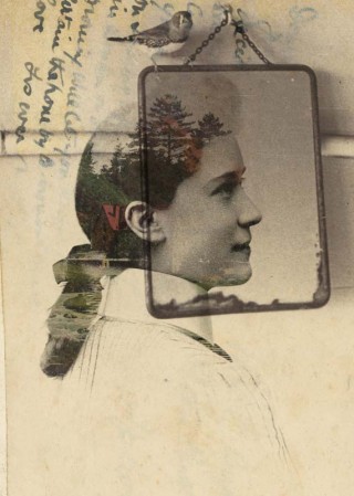 Bertrand Sallé, 