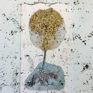 Birgit Christi, 