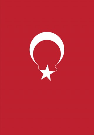 Dawid Czajkowski, Coup
