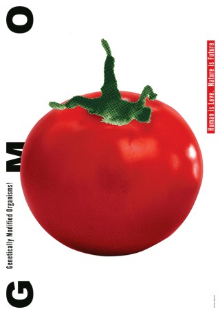 Fatih Yapar, Genetically Modified Organisms