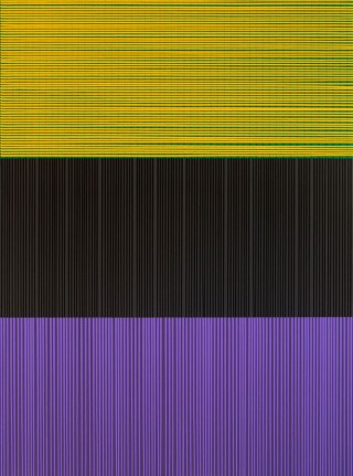 Francisco Suárez, Campos cromáticos 48, Acrylic on canvas, 270 x 200 cm