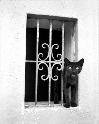 Juan Borja, 