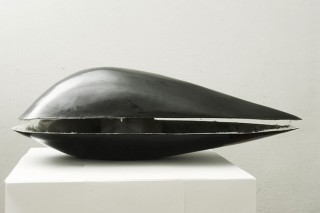 Krzysztof Franaszek, Black mussel