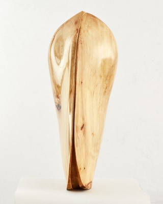 Krzysztof Franaszek, Clam