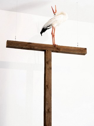 Krzysztof Franaszek, Polish cross