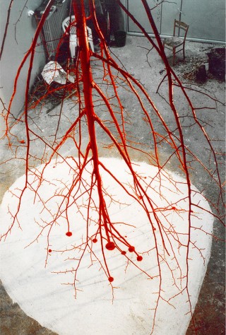 Krzysztof Franaszek, Red
