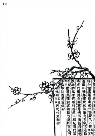 Leo Lin, 