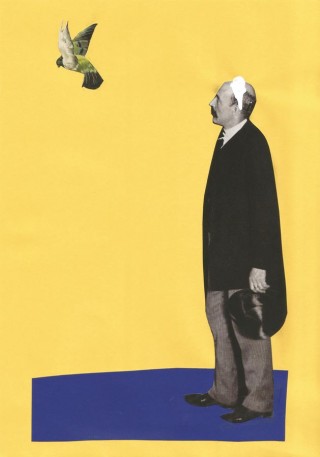 Maciek Łazowski, 