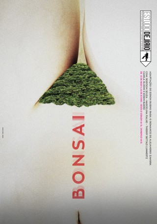 Marcos Minini, Bonsai
