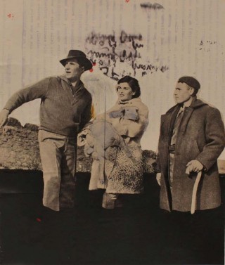 Massimo Nota, lambwool