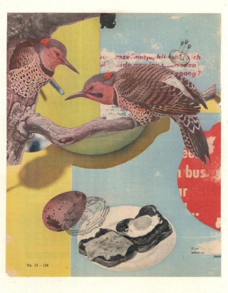 Peter Dowker, EGGS