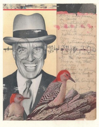 Peter Dowker, RED BELLIED